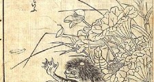 Kappa_jap_myth