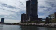 IMG_5972.JPG
